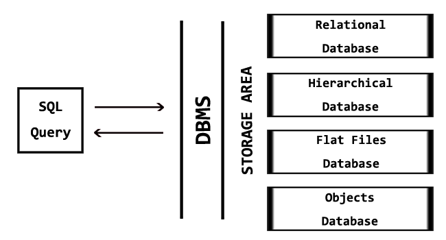 DBMS